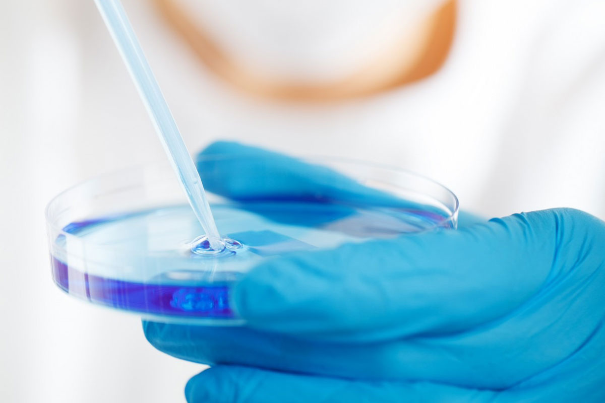 Detalle de las manos con guantes de una profesional de laboratorio vertiendo una sustancia con un cuentagotas sobre una placa de Petri.