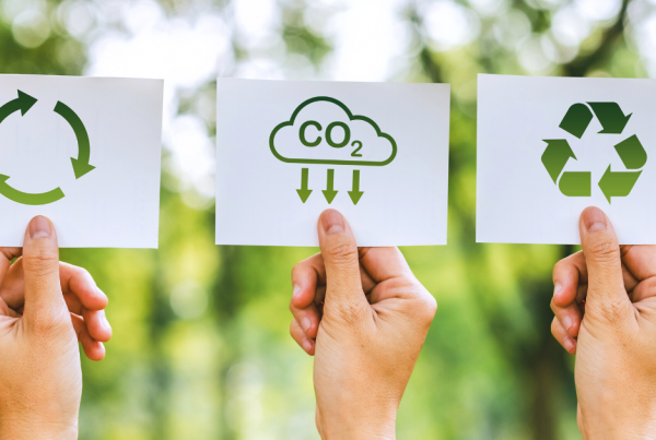 sostenibilidad, innovación y medio ambiente